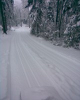 /album/fotogalerie/obraz406-jpg1/