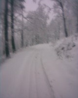 /album/fotogalerie/obraz413-jpg/