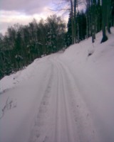 /album/fotogalerie/obraz447-jpg/