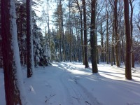 /album/fotogalerie/a30012010260-jpg/